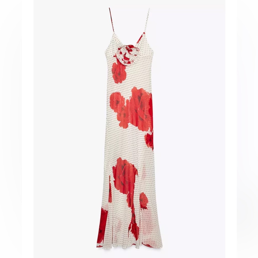 Zara | Floral Print Long Maxi Dress